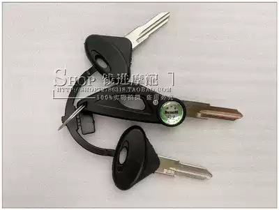 Huanglong BJ600 BN6000 Small Huanglong 300TNT302 silver blade 250T-8 key blank lock blank