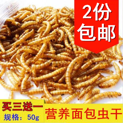 2 Buy 3 get 1 free Bread Bugs Dried Mealworms Dried Turtle Food Turtle Food Fish Food Fish Food Bird Food Hamster Food