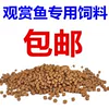 Товары от 飞鸣宠物