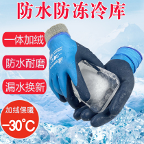 Cold Storage Special Gloves Winter Warm Anti-Chill Antifreeze Waterproof Gloves Aquatic Plus Suede Thickened Wear Resistant Work Labor