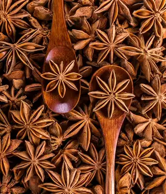 Star Anise seasoning 20g Sulfur-free Star anise seasoning Spices Braised ingredients Stewed meat seasoning Anise