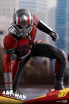 HOT TOYS 1 6 MMS497 ANT-Man 2-The Wasp APPEARS ANT-Man 3 0 EDITION