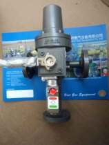 Japan KAGLA automatic liquid phase switching valve LR-SF liquid phase switching valve 300KG gas conversion valve