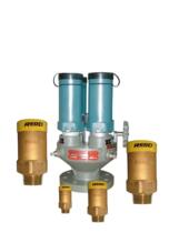 American REGO 3129G safety valve 4-point brass release valve 3129G pressure relief valve