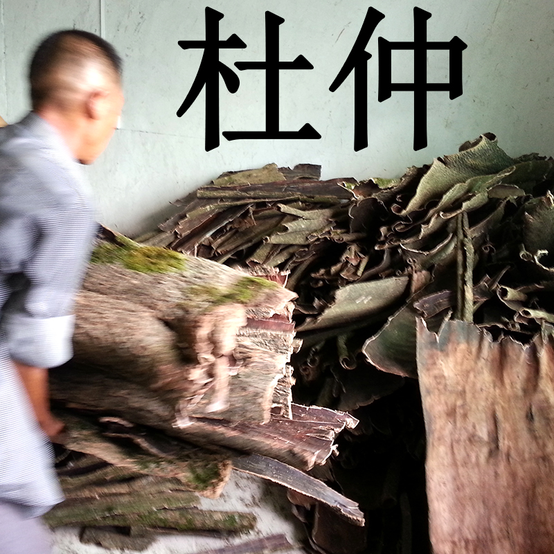 Eucommia Chinese herbal medicine Duratight wild 500g Zhangjiajie specialty Eucommia township male origin delivery