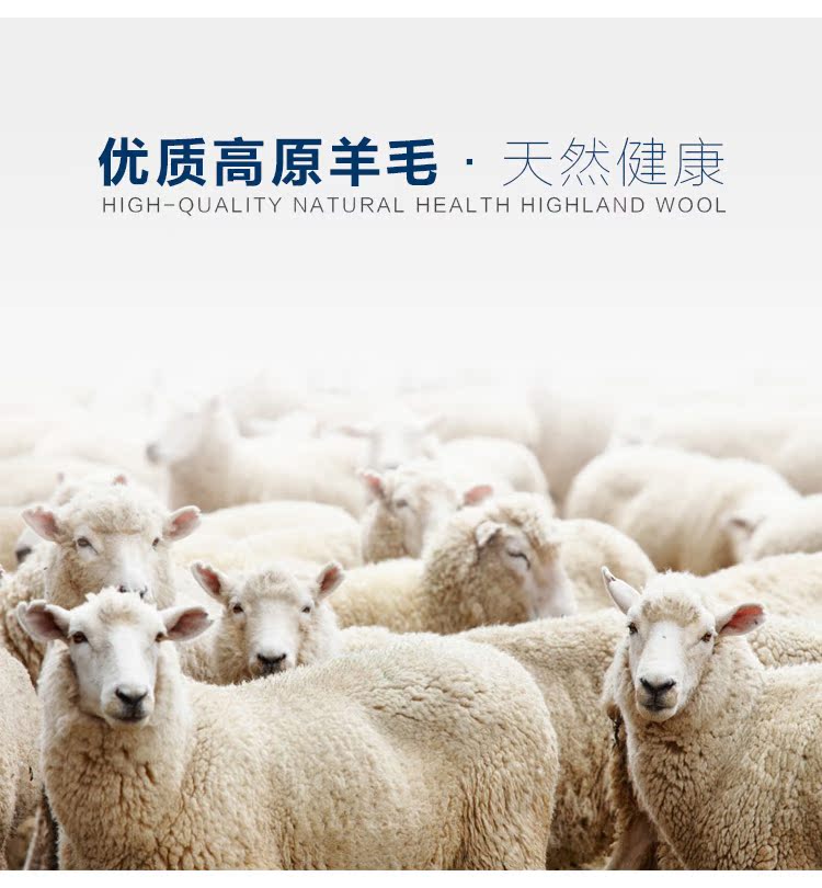 Pantalon collant Moyen-âge simple en laine - Ref 749935 Image 12