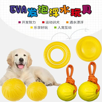 Dog toy teasing dog ball toy with biting training dog ball training ball dog bites ball bounce with rope dog playing ball