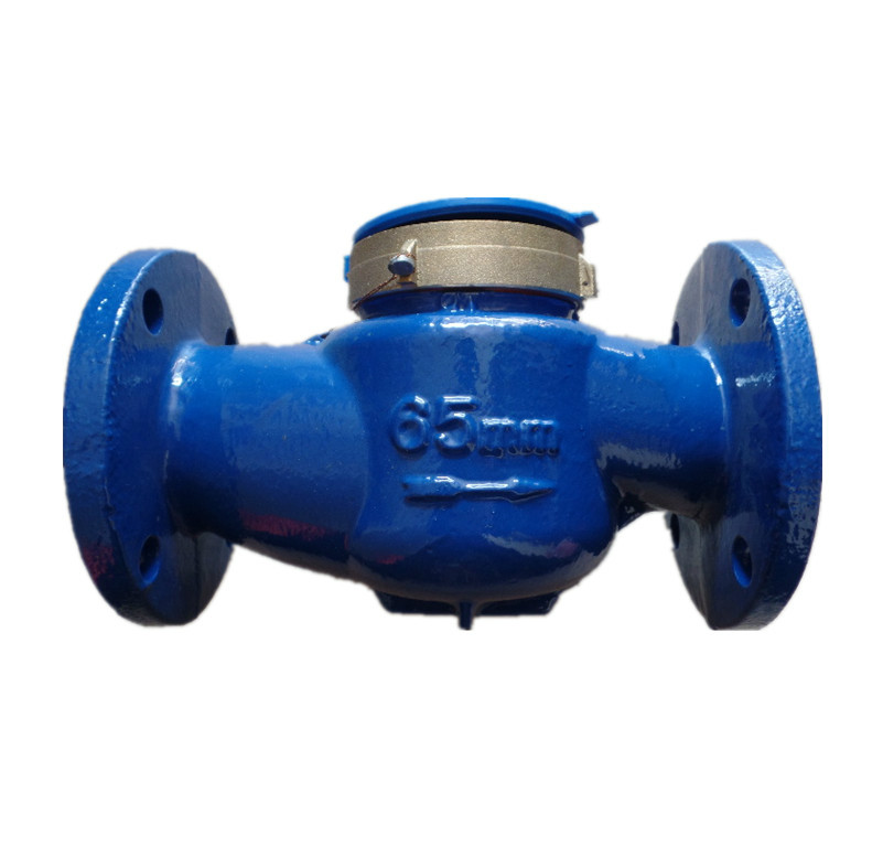 Original Shanghai water meter factory Shangshui brand rotor wet water meter pointer word wheel combination 65mm