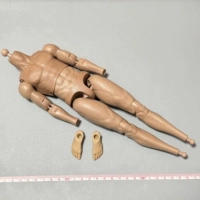EASY&SIMPLE Соотношение ES 1: 6 26065SS SAS Limited Edition Plain Body