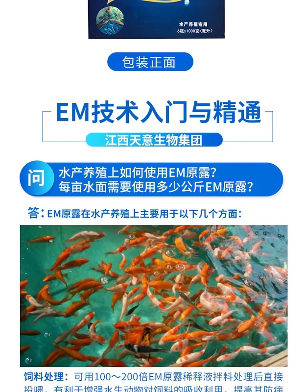 Chất lượng nước điều tiết EM gốc sương chăm sóc sức khỏe thủy sản chăm sóc sức khỏe nhập khẩu EM chủng chứng khoán chất lỏng tốc độ giảm amoniac nitơ nitrit - Phụ kiện chăm sóc mắt