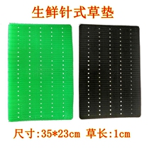 Green needle food imitation grass mat Black boutique supermarket with pig mutton beef tray freezer fresh display road