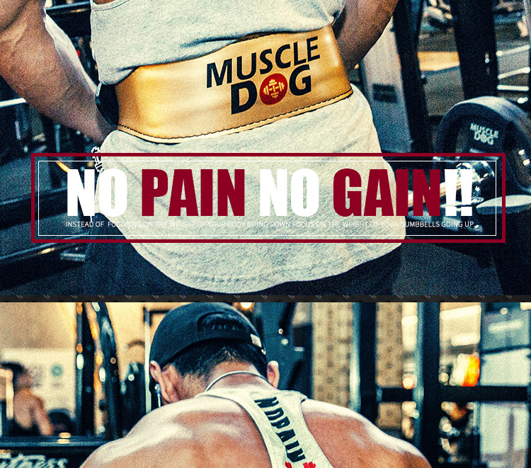 MUSICLE DOG Cơ Bắp Dog Squat Belt Tạ Cứng Thể Hình Đào Tạo Thể Thao Bó Bụng Vành Đai dây thắt lưng