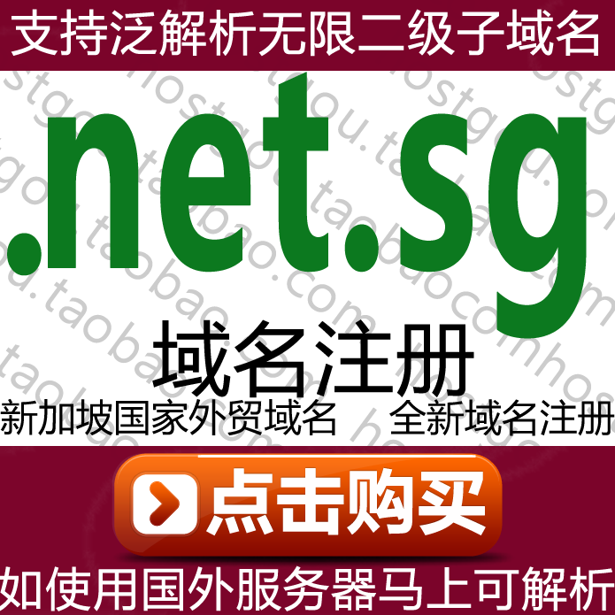  net sg domain name registration pan-resolve unlimited secondary name Domain mi foreign trade Singapore web site purchase application