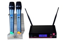 Professional FM U-segment wireless microphone one for two KTV performance Wedding conference stage microphone U-segment V-segment No