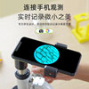 [Xiaoxin Co-Branded]Microscope for Primary and Secondary School Students, Capable of Viewing Bacteria in High Definition, High Magnification Optical, Junior High School Model, Professional-Grade Biological Electronic Microscope, Desktop Children's Science Laboratory, Children's Day Gift