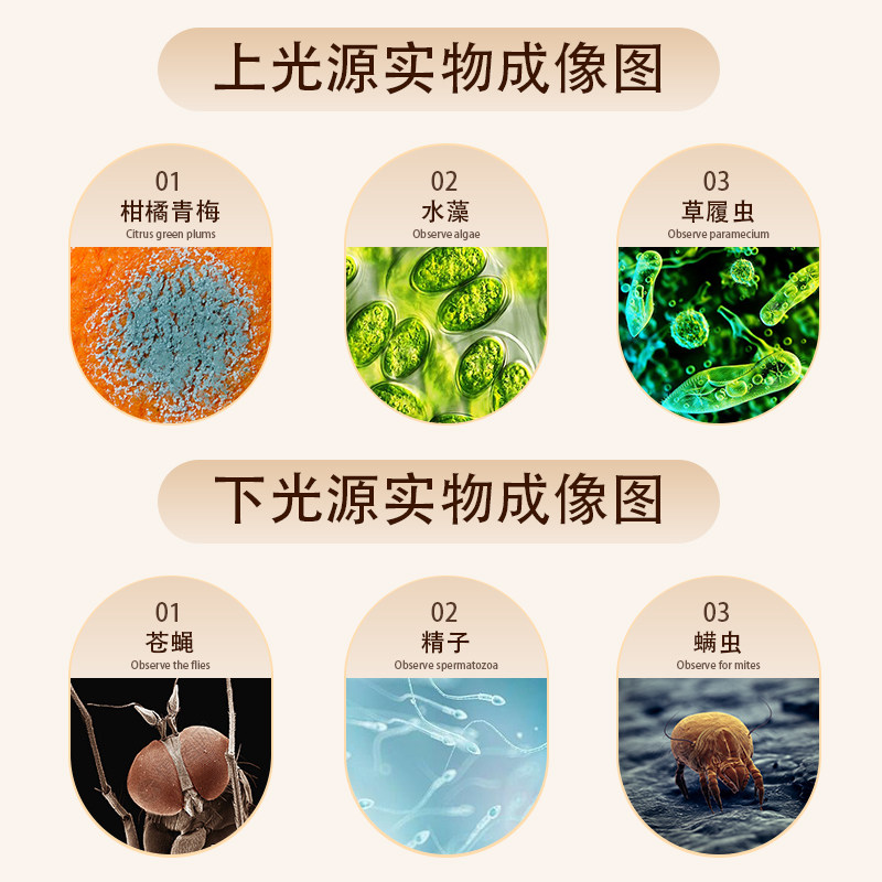 Mofan Binocular Microscope for Primary and Secondary School Students, Professional-Grade High-Magnification Optical Microscope for Junior High School Science Laboratories, Children Can See Bacteria and Sperm, High-Definition Electron Microscope for High School Biology