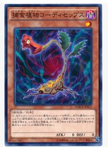 (Wing Tour Card) Game King N Pinka Prey To Plant Caterpillar Fungus Day Edition