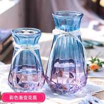 Gradient glass vase 2 sets transparent living room hydroponic large vase Nordic dry vase