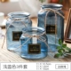 Bình thủy tinh trong suốt nhỏ tươi châu Âu đồ trang trí ins khô bình phòng khách máy tính để bàn văn hóa nước giàu tre bình - Trang trí nội thất