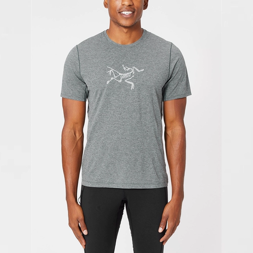 Spot Arcteryx Cormac, мужчины птицы, быстро -судящие в короткометражных спортивных T -Fork 26841/x6704
