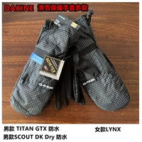 Новый Dakine Titan GTX /Lynx Мужчины и женщины на открытом воздухе лыжные горы теплые перчатки множественные множественные