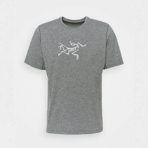 Spot Arcteryx Cormac, мужчины птицы, быстро -судящие в короткометражных спортивных T -Fork 26841/x6704