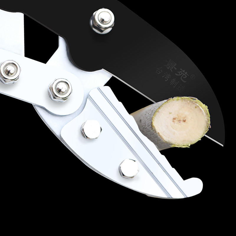 新款修剪树枝剪刀园林工具园艺剪刀修枝剪子果树剪枝剪省力粗枝剪