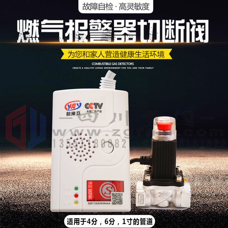 Home Auvia Gas Leak Alarm Probe With Automatic Cut Off Valve Gas Gas Siren