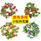 Simulated rose wall hanging fake flower rattan vine plastic flower pipe heating blocking indoor living room ດອກໄມ້ປະດັບ