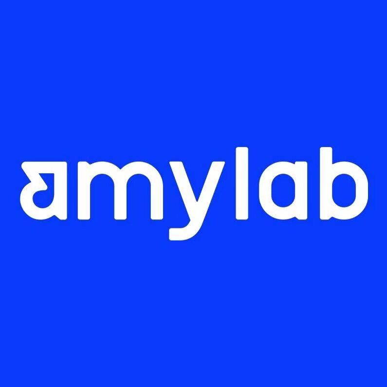 amy安美化妆品旗舰店的LOGO