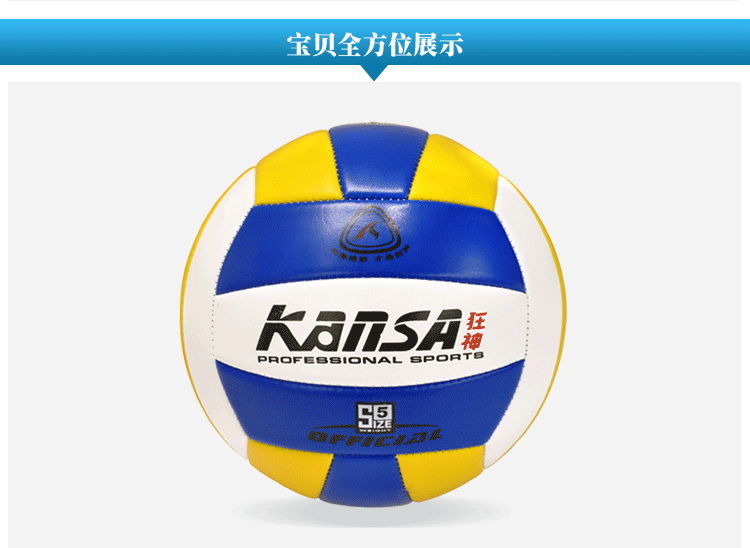 Ballon de volley - Ref 2011021 Image 23