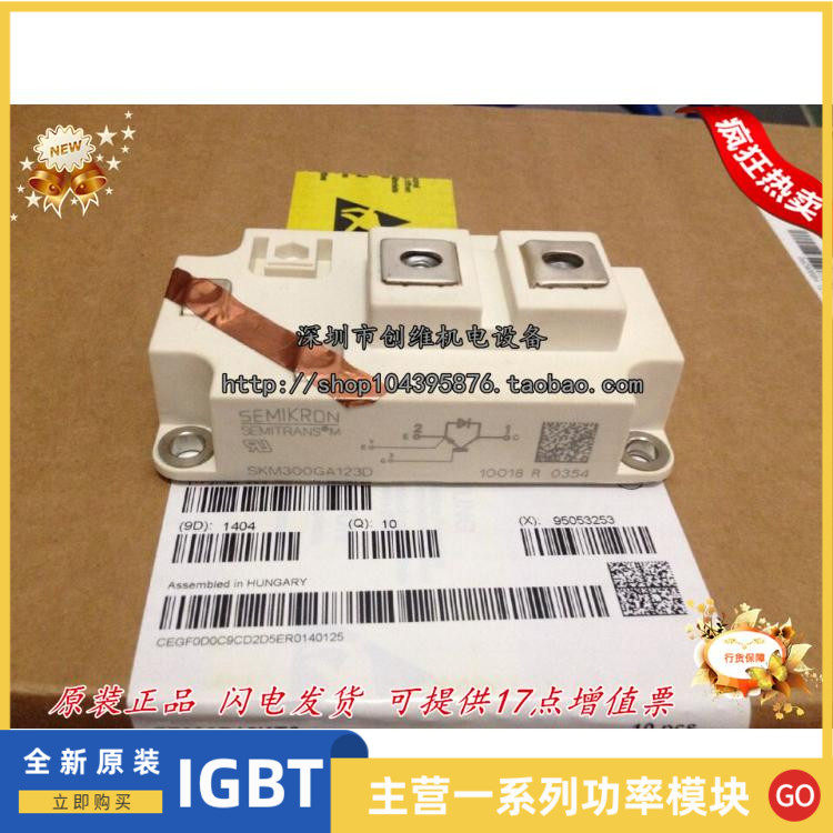 German original SKM300GA12V SKM300GA12V SKM300GA123D SKM300GA123D SKM300GA124D SKM300GA124D