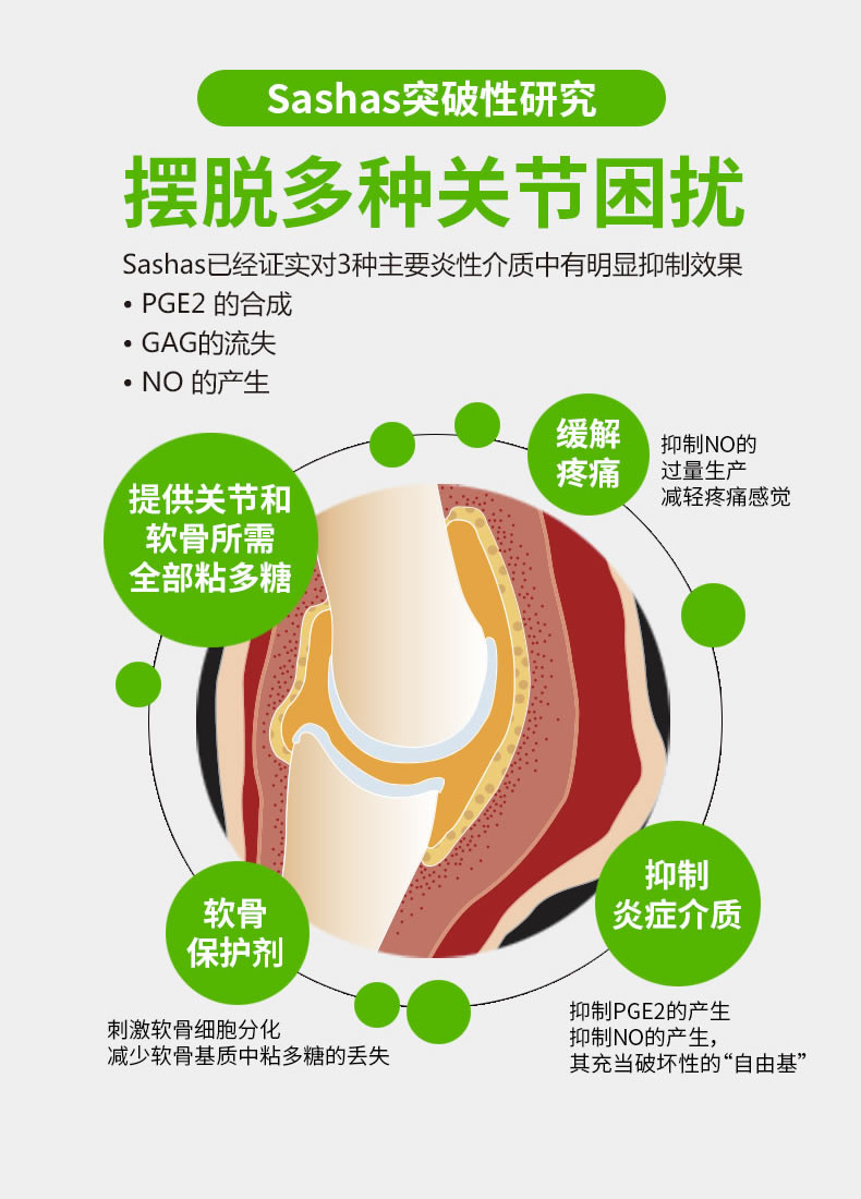Sasha chung Spirit Capsule Sashas 65 Pet Dog Cat Hip Sửa chữa Chondroitin Bone Canxi - Cat / Dog Health bổ sung sữa cho mèo con mất mẹ