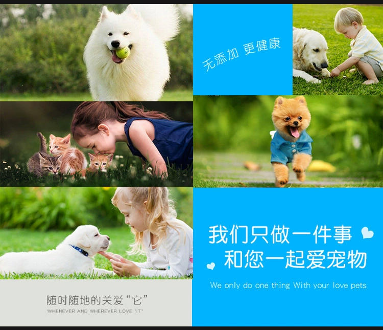 Fupaisi chó nhỏ và vừa dành cho chó trưởng thành thức ăn cho chó 10kg Teddy Golden Hair và thức ăn chủ yếu cho thú cưng khác hạt zenith cho chó con