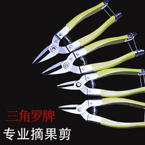 Pruning shears pedicure scissors Fruit Gardening household citrus orange knives scissors grapes special round heads