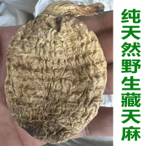 New arrival wild mountain dug pure natural wild Tibetan gastrodia elata 500g sulfur-free special large grindable powder whole tablets