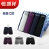Đồ lót nam Hengyuanxiang đồ lót nam võ sĩ mùa đông mid-cotton cotton kinh doanh đồ lót nam bốn chân quần trẻ trung quần sịp doremon Nam giới