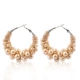 H8061 Lin'an Chunyu/Champagne Color