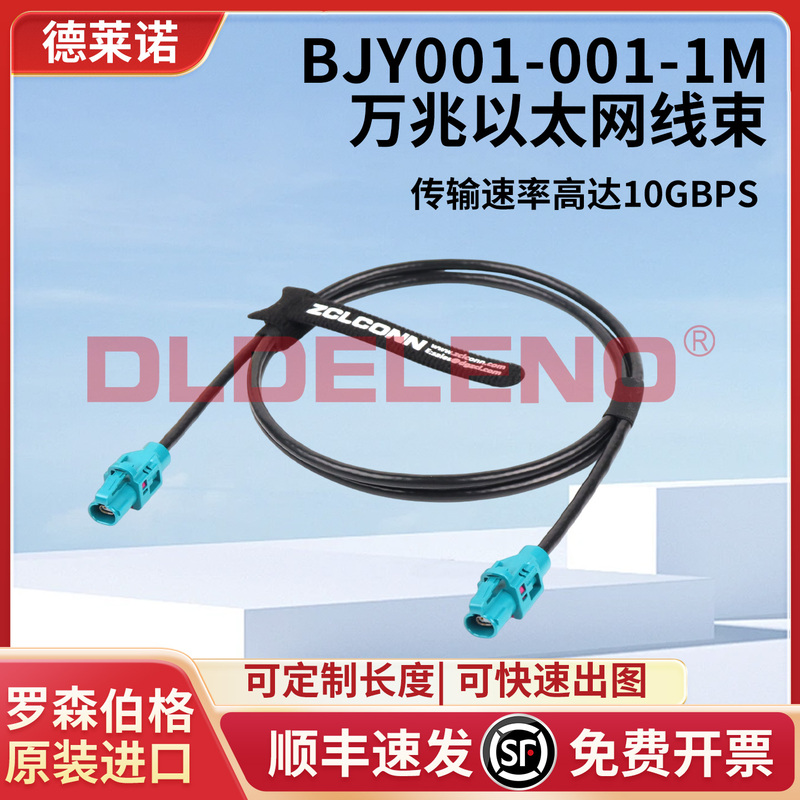 Rosenberg Original Genuine H-Mtd Single-Cavity Female Connector E6K10A-1Caz5-Z 10 Gigabit Ethernet Cable Assembly