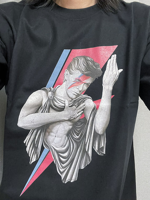 Play Club T-Shirt David Bowie Ziggy Havok David Baoyi Original Design for Men and Women