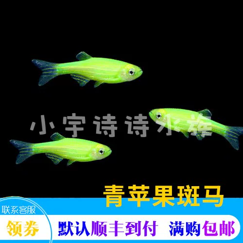 Товары от 小宇诗诗水族