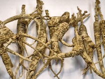 Wild old forest wild ginseng in Changbai Mountain old skin old lines original skin original color residual ginseng and residual branches pure wild old foodie