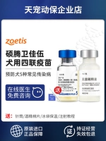 Мастер США Tengwei Jiawu Four Union Dogs Vaccine Vaccine Vaccine Pfizer 5 щенков и собака Pet Dog Plague Маленькие 5 куплетов