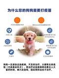 Американский писатель Tengwei Jiayu Dog Batlin Vaccine Восемь вакцина 8 щенков собаки в собачье коронарное крючок