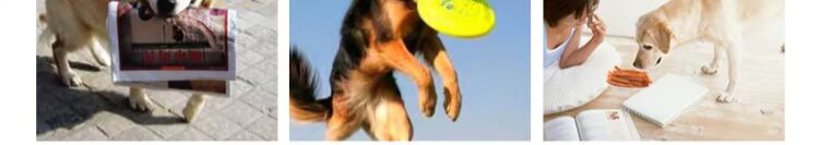 Lusi dog snack gà ức gà 330g gà khô nguyên con chó con bánh thưởng cho chó poodle