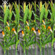 Artificial Corn Tree, Fake Corn Stalks, Garden Plants, Landscaping, Exhibition Hall Decoration, Museum Display, Photography Props, Corn