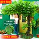 Simulated Large Tree for Indoor Decoration, Large Artificial Tree for Outdoor Use, Banyan Tree Decoration Props, Hotel Lobby Wedding Floor-Standing Green Plants