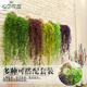 Artificial Flower Vine, Fake Flower, Silk Flower, Golden Bell Willow, Wall Hanging, Living Room Air Conditioning Duct Decoration, Green Leaf Plant