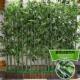 Simulated Bamboo Fake Plant Moso Bamboo Partition Screen Green Plant Interior Decoration Hotel Potted Living Room Plastic Floor-Standing Bamboo