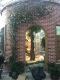 Artificial Vines, Decorative Vines, Simulated Plants, Climbing Vines, Branches, Trunks, Indoor Ceiling Vines, Flower Vines, Wedding Vines